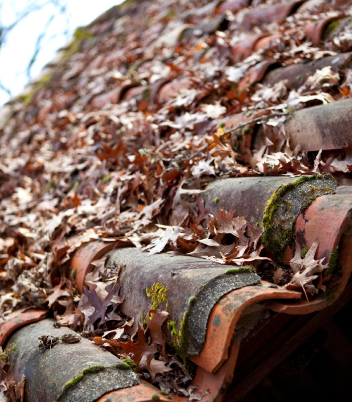 Toiture en tuiles recouverte de mousses et de feuilles mortes nécessitant un démoussage